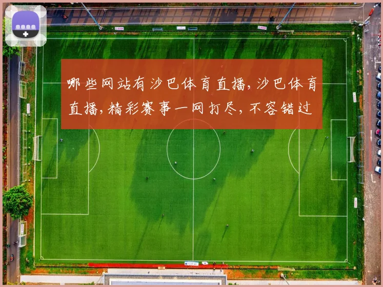 哪些网站有沙巴体育直播,沙巴体育直播,精彩赛事一网打尽,不容错过