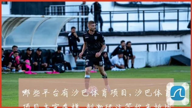 哪些平台有沙巴体育项目,沙巴体育项目丰富多样,刺激玩法等你来挑战,一触即发
